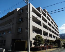 外観1